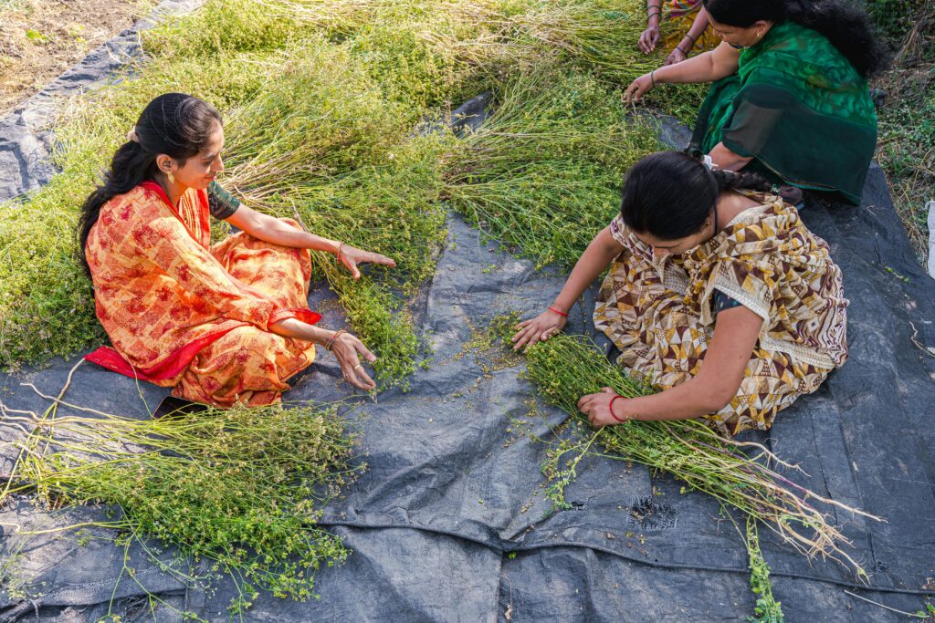 pexels-equalstock-20223766