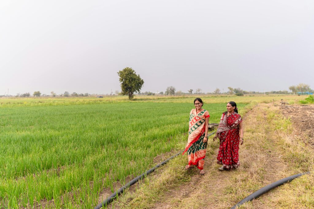 pexels-equalstock-20527524